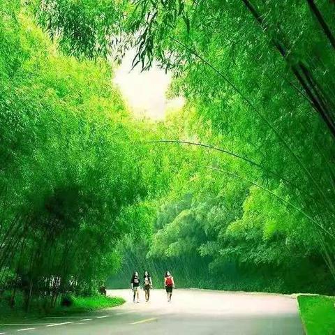 【AA约伴】【重渡沟特惠】疯狂的栾川.25周年庆！醉美5A重渡沟一日游