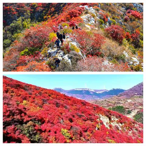 【诗画文祖】 国庆狂欢盛宴 ——文祖街道东张新村红叶节震撼来袭
