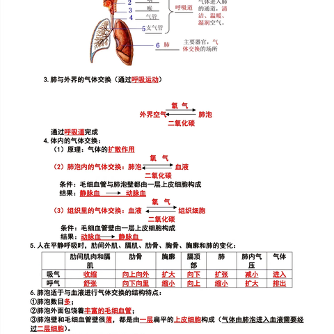 严的美篇