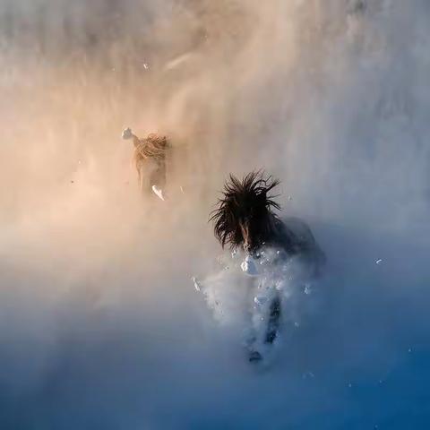 【2025年12月—2026年1月、2月】坝上冬季摄影团招募