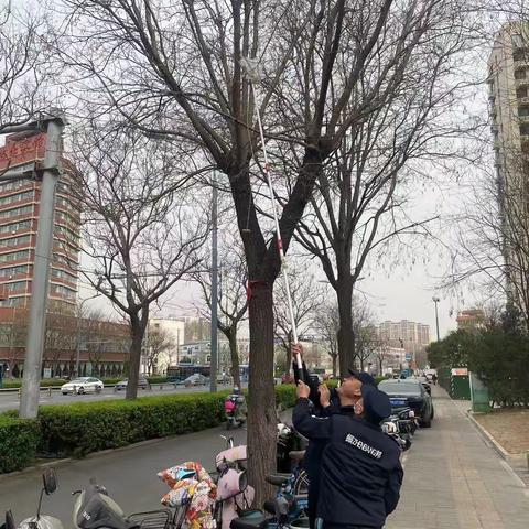 南辛庄街道：踏实做好管理工作  全面提升街区面貌