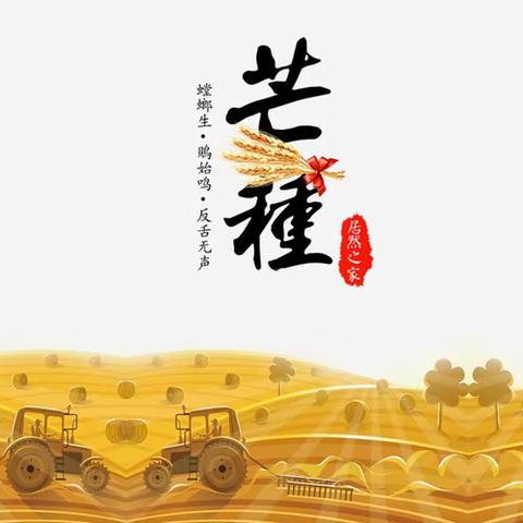 “芒种至，仲夏始”桃洼学校幼儿园大一班“芒种”节气活动