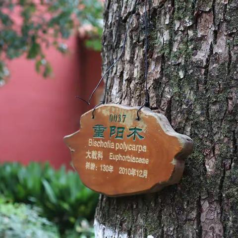 国庆打卡第二站（湖南衡阳 10 月 2 日）