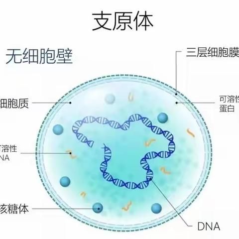 丰润区欢喜庄中心小学冬季安全——致家长的一封信