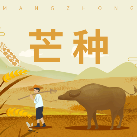 “夜临南风起，雨落芒种至 ”