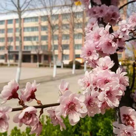 【让课程与学生兴趣匹配起来】“多彩社团，活力校园”——昌城小学社团活动纪实