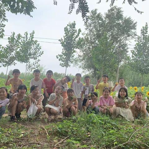 【关爱学生幸福成长】感受植物之美 体验拓印之乐