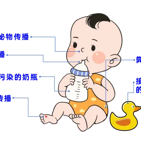 【卫生保健】科学预防手足口病