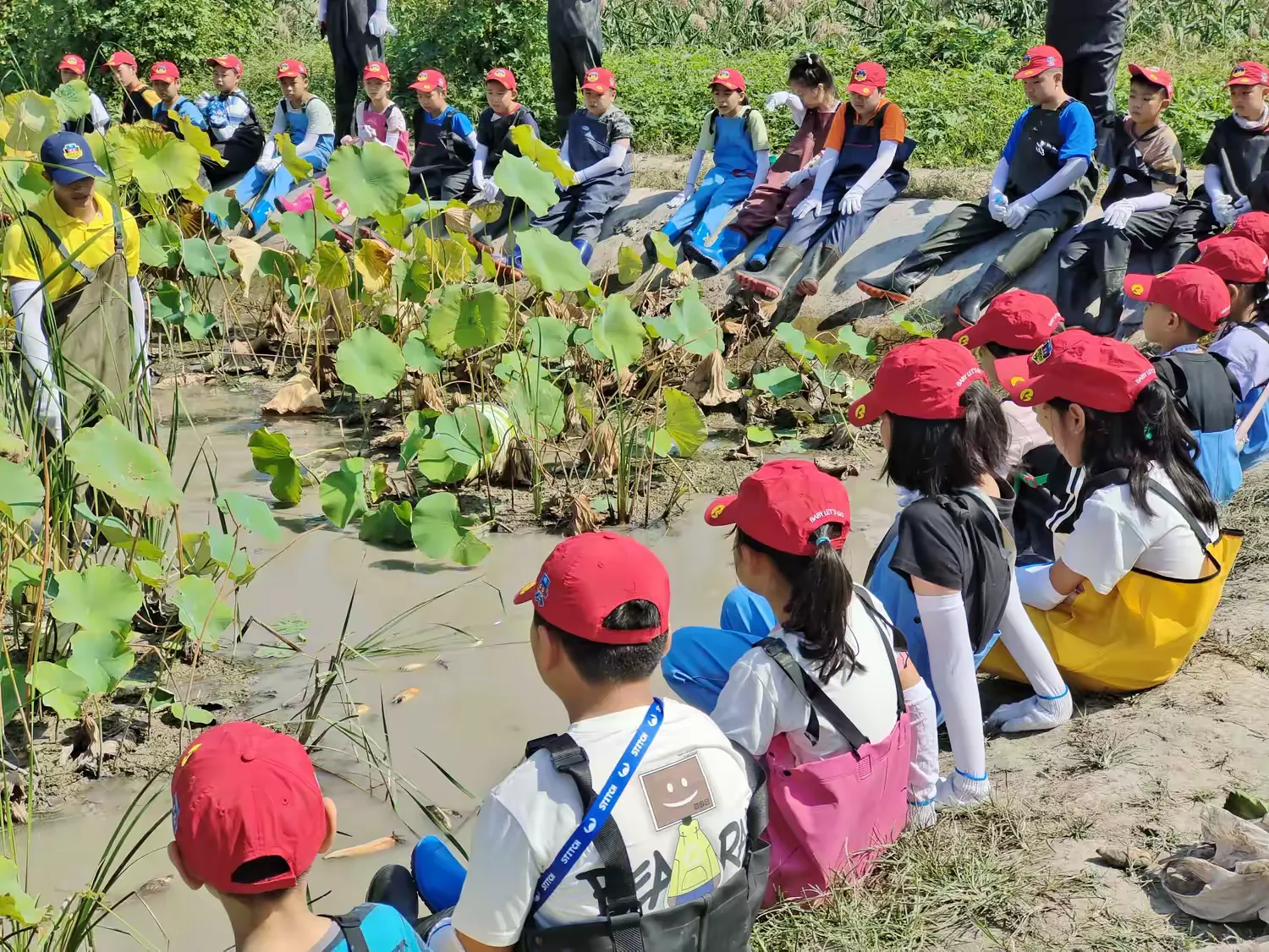 简篇-一湖锦绣邀君至 五一邂逅“后花园”——白云湖国家湿地公园诚邀您共赴生态之约