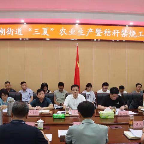 白云湖街道：召开“三夏”农业生产暨秸秆禁烧工作会议