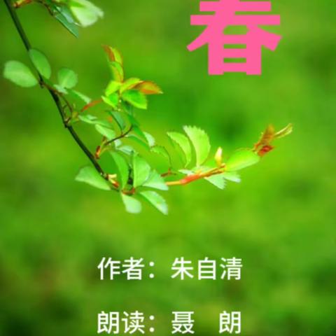 我把《春》读给你听