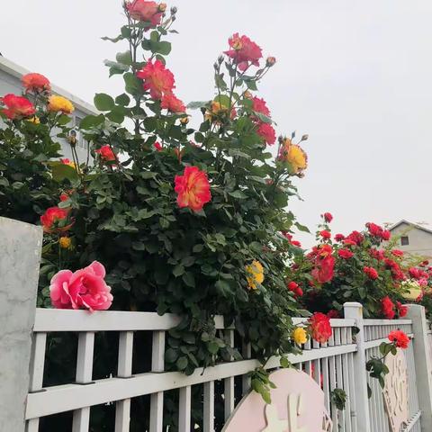 关爱学生，健康成长