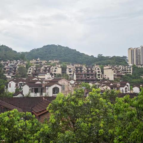 F3902惠州南昆山富力养生谷4房7床