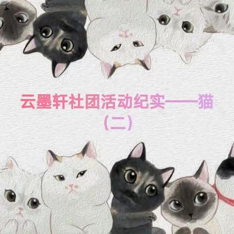 云墨轩社团活动纪实——猫（二）