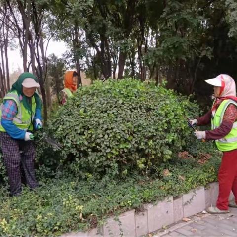 淄博经开区北控园林绿化项目工作动态日报