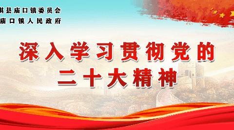 庙口镇：惠民换炮融民意 硬核巡查促禁燃