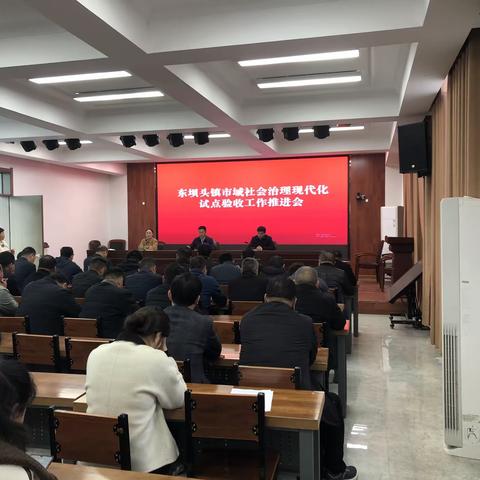 东坝头镇市域社会治理现代化试点验收工作推进会