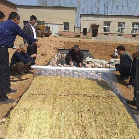 【孔村镇王小屯村】小木耳种出致富新希望