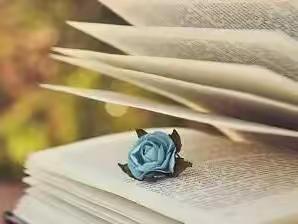 研途相伴  一路生花——贵港市特殊教育学校举行深化新时代教育评价改革联合教研活动