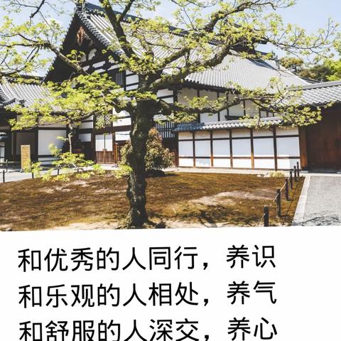 奔跑吧，志成班