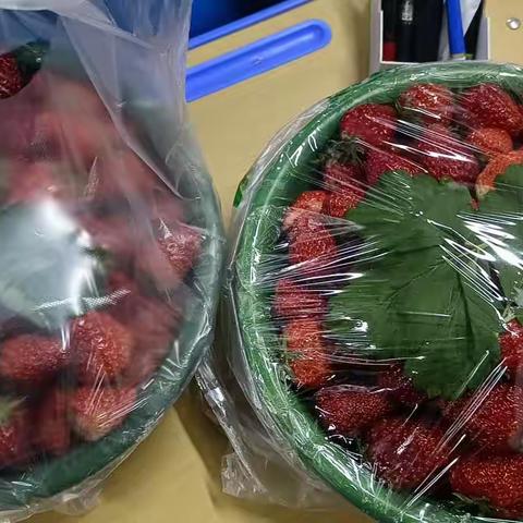 两盆红草莓