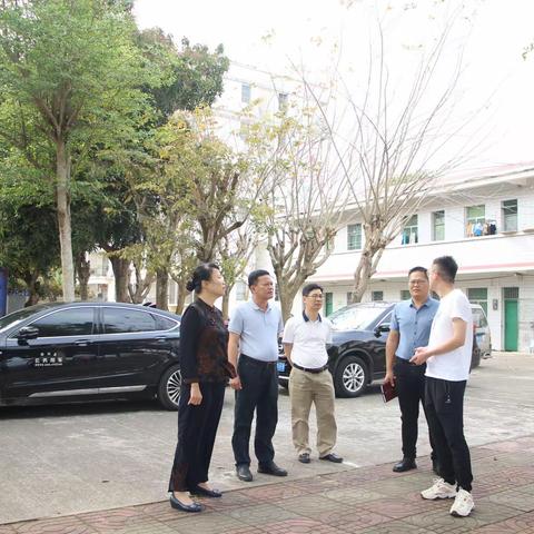 县人大常委会副主任伍楚君到文儒镇调研固投项目建设及代表建议办理情况