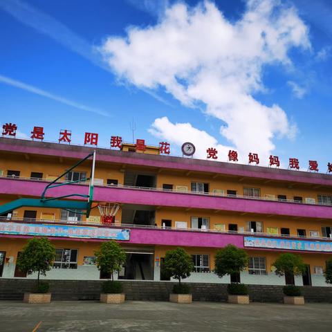 新场小学2023年五一节假期安全告家长书