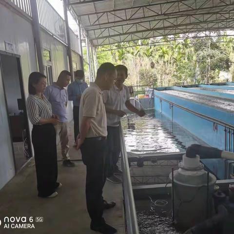 县委常委、副县长郑达峰到坡心镇高朗村申源水产科技企业开展产业调研工作