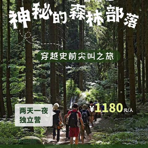 龙门美术《神秘的森林部落——探险之旅》