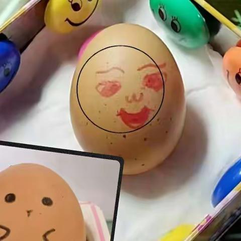 护蛋行动 感悟生命意义——太清宫镇中心小学五年级二班护蛋活动掠影