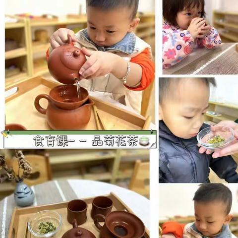 品茶味、知茶礼、食茶趣——宿豫区第一实验小学幼儿园中六班菊花茶泡制之旅