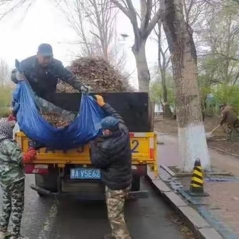 深化能力作风建设丨道里区园林局假期里服务保障“不打烊” 绿化一线忙“梳妆”