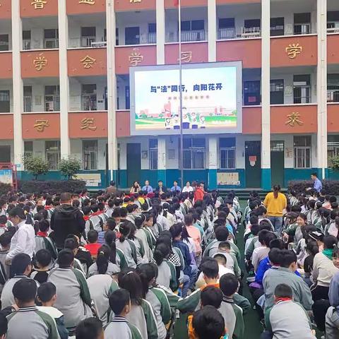 与“法”同行 向阳花开——寺坡街道关工委邀请舞钢市人民检察院蓝风筝法制宣讲团进市第三小学