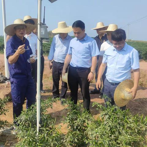 海口市赴儋州市嘉禾农庄等地考察招商
