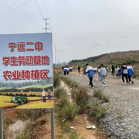 2203班春耕小记2