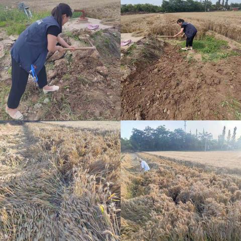 坚守初心为民服务-网格助力夏收