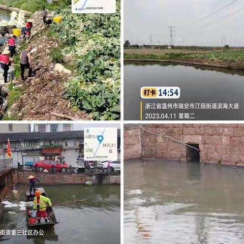 河道清理护生态，水清河畅美乡村——莘塍街道持续开展河道清理