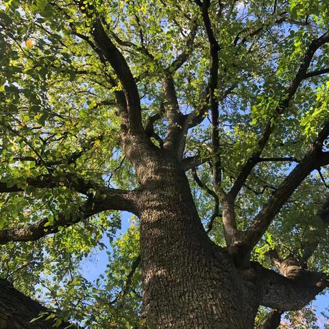 拾光文学社第一期 迎接九年级，五班有话说