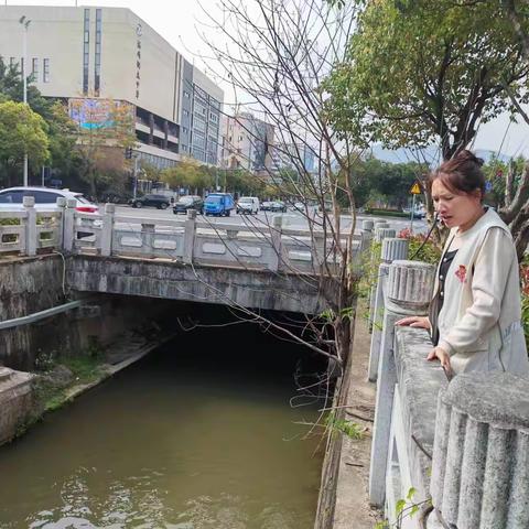 河长日铜盘河河长吴球珠书记巡河
