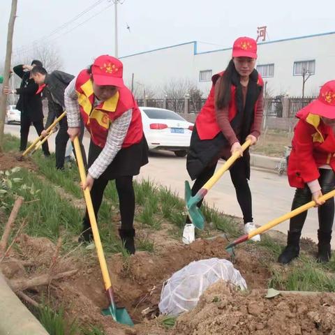 共植“廉洁树”争做“廉洁人”