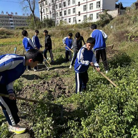 以“劳”树德，以“劳”育美一一遂川县黄坑中学开展劳动教育实践活动