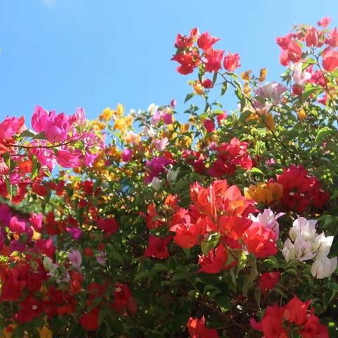 节能降碳 你我同行｜保亭旅文局发布创建节约型机关倡议书