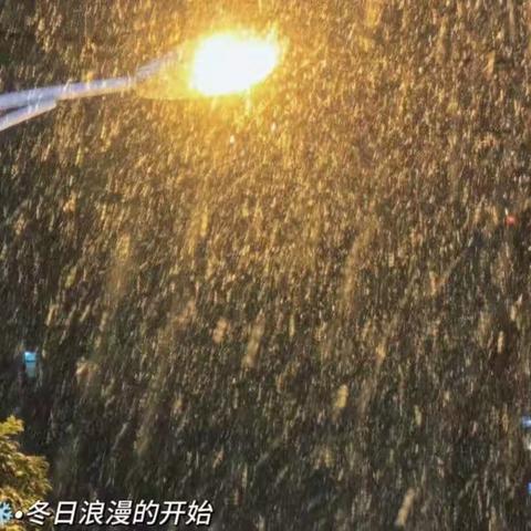 以雪为令，情暖寒冬