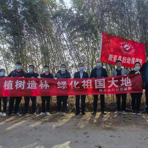 植树造林，绿化祖国大地——周至县妇幼保健院开展植树节主题活动