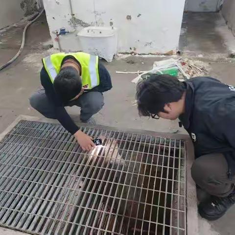 南山-前海地下道路周报（3月25-3月31）