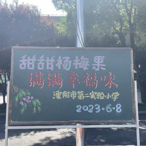 幸福二实小｜甜甜杨梅果 满满幸福味——溧阳市第二实验小学举行校园杨梅节活动