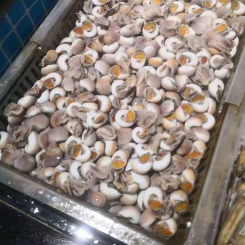 寒假科学作业集锦——七（2）陈芮轩