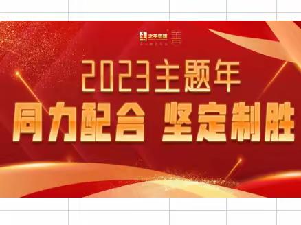 巴龙国际物业服务中心2022年年度工作总结