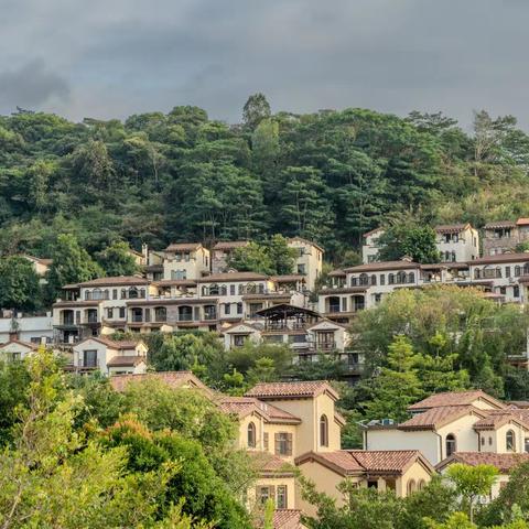 🌺养生谷D0101🌺D区5房9床畔山别墅