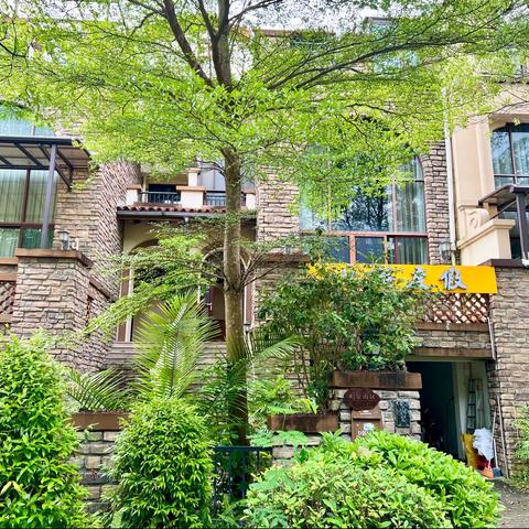 欧式中空大厅5房11床豪华别墅